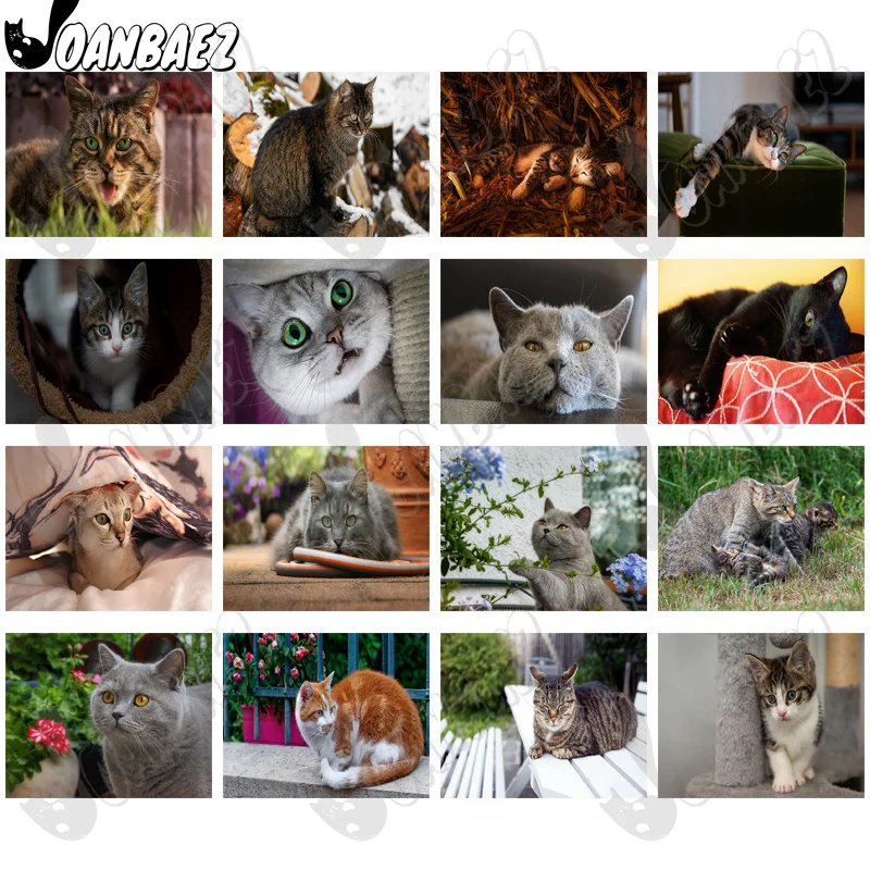 Beautiful Cat 5D Diy Diamond Painting Animal Kitten Round Diamond Art Inlaid Home Room Wall Decoration Accessories
Beautiful Cat 5D Diy Diamond Painting Animal Kitten Round Diamond Art Inlaid Home Room Wall Decoration Accessories