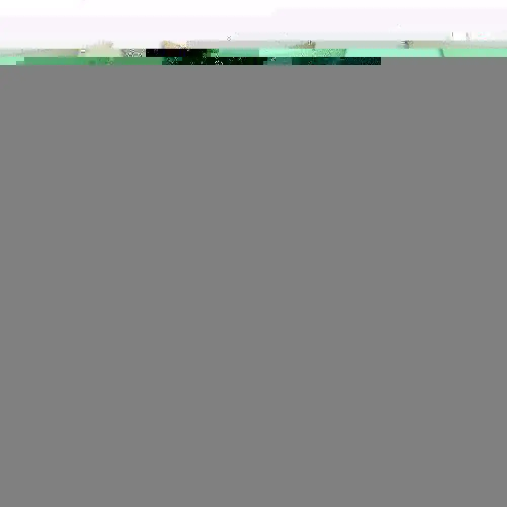 Ramadan Decorations For Home Islamic Eid Mubarak Decor Cover Sofa Cotton Cushion Pillow Cases Throw Muslim Mosque Decorativ V8K4 
Ramadan Decorations For Home Islamic Eid Mubarak Decor Cover Sofa Cotton Cushion Pillow Cases Throw Muslim Mosque Decorativ V8K4