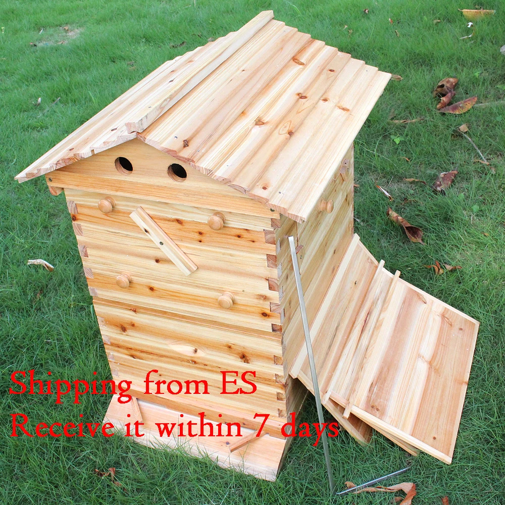 Wooden Bee Hive House Bees Box Beekeeping Equipment Beekeeper Tool with 7pcs Nest for Bee Hive Supply 66*43*26Cm High Quality
Wooden Bee Hive House Bees Box Beekeeping Equipment Beekeeper Tool with 7pcs Nest for Bee Hive Supply 66*43*26Cm High Quality