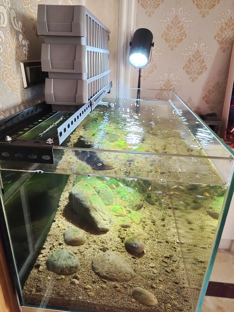 Multi-layer Filter Box Bracket Aquarium Filter Turtle Tank Fish Tank Filter Box Water Trickle Turnover Box
Multi-layer Filter Box Bracket Aquarium Filter Turtle Tank Fish Tank Filter Box Water Trickle Turnover Box