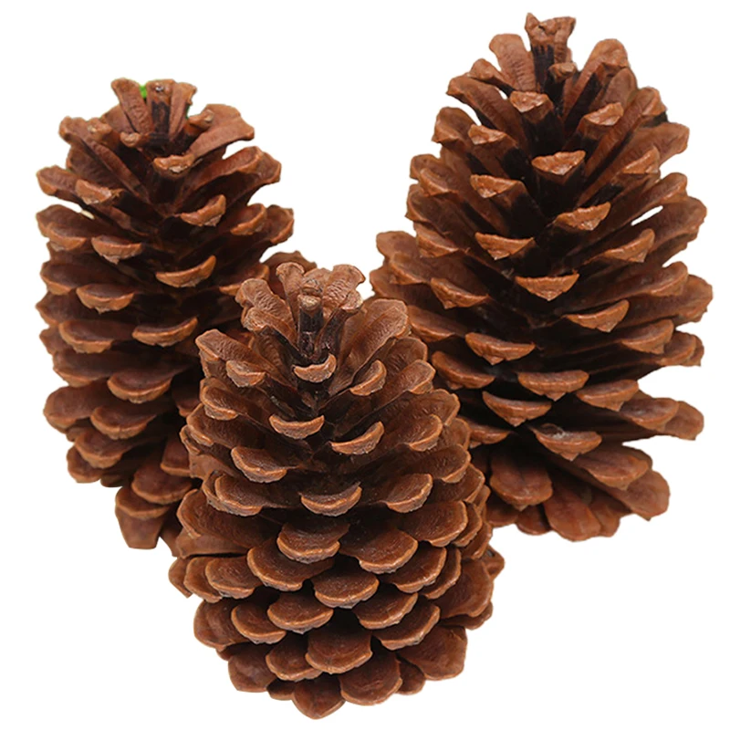 Рождественские украшения Pinecone, натуральные большие сосновые конусы, рождественская елка, Декор для дома, уличное украшение MC889
Рождественские украшения Pinecone, натуральные большие сосновые конусы, рождественская елка, Декор для дома, уличное украшение MC889