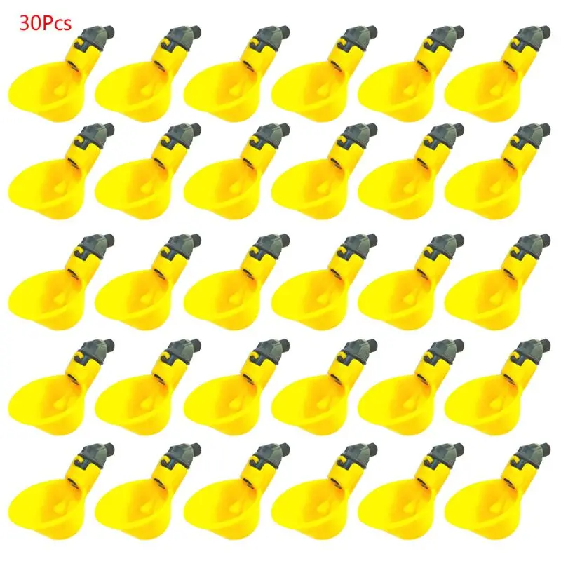 Pet Products
Pet Products