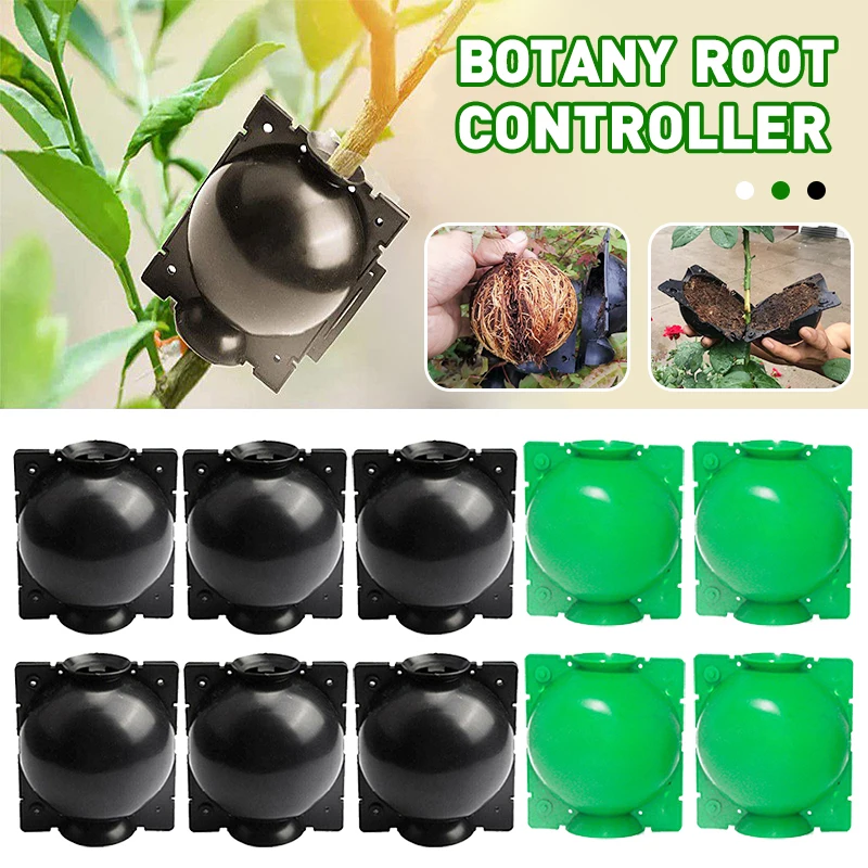 5pcs Plant Rooting Equipment High Pressure Propagation Ball Graft Box Breeding Case For Garden Graft Box Sapling 
5pcs Plant Rooting Equipment High Pressure Propagation Ball Graft Box Breeding Case For Garden Graft Box Sapling