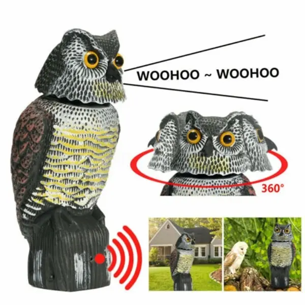 Realistic Bird Scarer Rotating Head Sound Owl Prowler Decoy Protection Repellent Pest Control Scarecrow Garden Yard Move
Realistic Bird Scarer Rotating Head Sound Owl Prowler Decoy Protection Repellent Pest Control Scarecrow Garden Yard Move