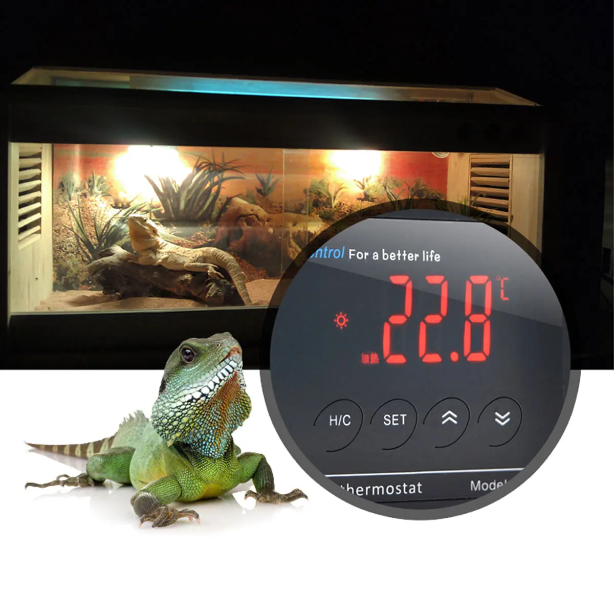 LCD Digital Repile Thermostat Temperature Control Outlet Heat Cool Digital Day/night Reptile Dimming Thermostat with UK Plug
LCD Digital Repile Thermostat Temperature Control Outlet Heat Cool Digital Day/night Reptile Dimming Thermostat with UK Plug