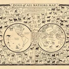 World Dogs Breeds of All Nations Map Art Silk Poster Print 24x36inch
