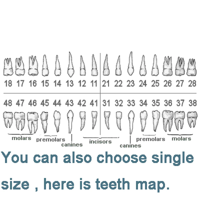 28Pcs/32Pcs Replacement Teeth With Screws In Common Use For Nissin Standard Teeth Model
28Pcs/32Pcs Replacement Teeth With Screws In Common Use For Nissin Standard Teeth Model