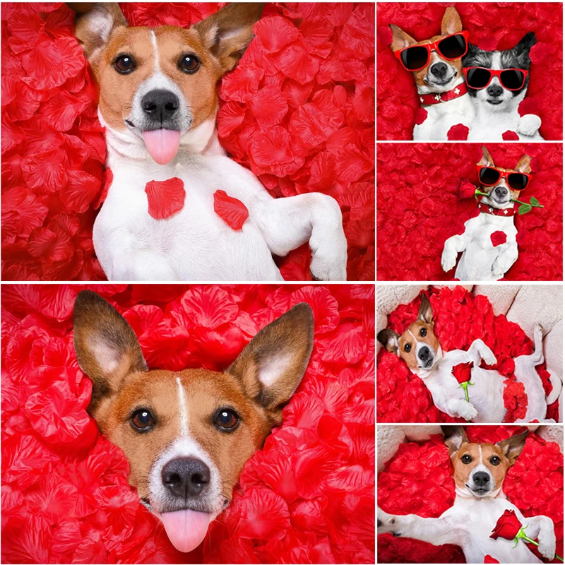 Rose Dog 5D Animal DIY Diamond Painting Cross Stitch Kits Mosaic Full Drill Diamond Embroidery Home Craft Art Decoration Gifts
Rose Dog 5D Animal DIY Diamond Painting Cross Stitch Kits Mosaic Full Drill Diamond Embroidery Home Craft Art Decoration Gifts
