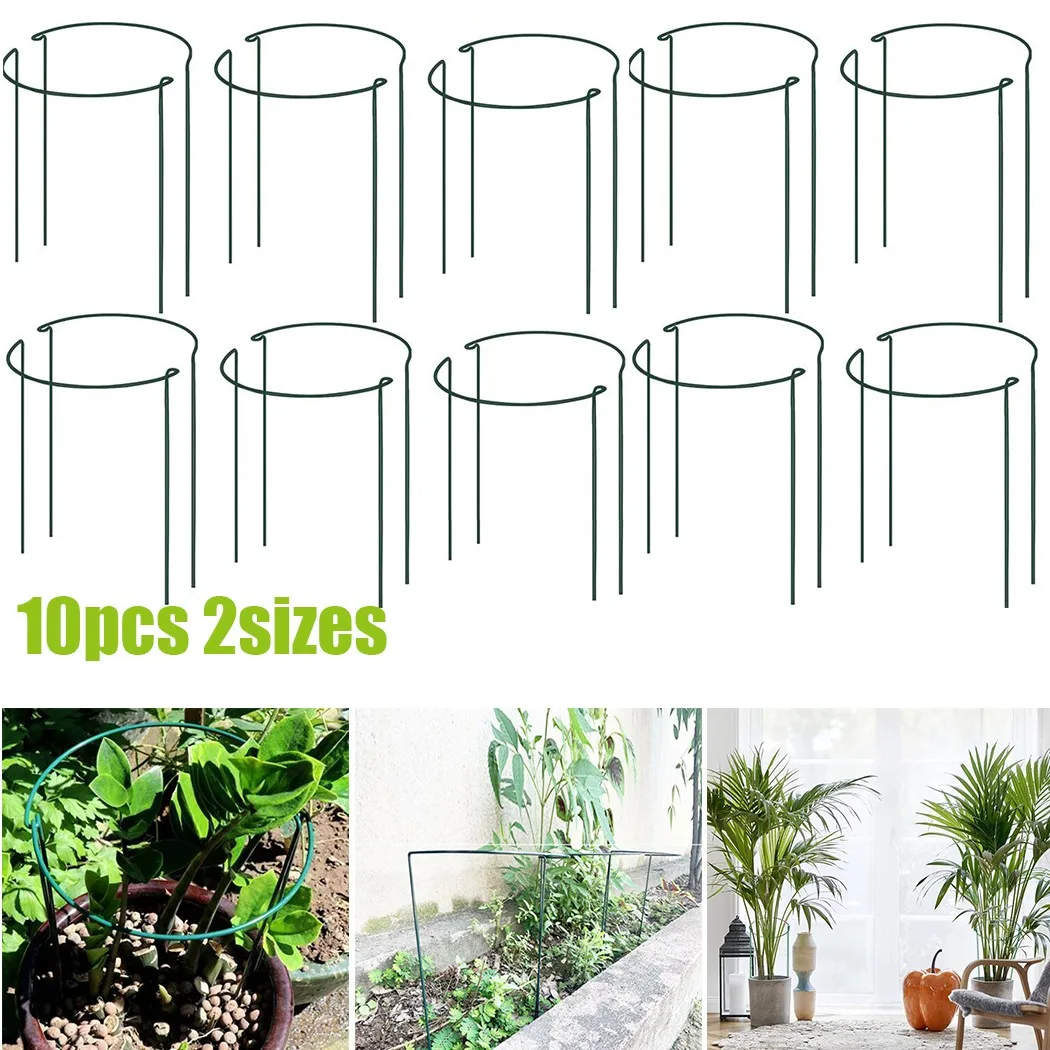 Metal Garden Plant Supports Props Set Vegetables 10pcs Accessory Bow Flowers Green
Metal Garden Plant Supports Props Set Vegetables 10pcs Accessory Bow Flowers Green