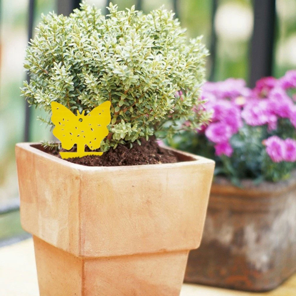 20-97Pcs/set Yellow Butterfly Shape Double-sided Sticky Board Plant Flowers Vegetables Mosquito Flies Trap Insect Sticker | Дом и сад