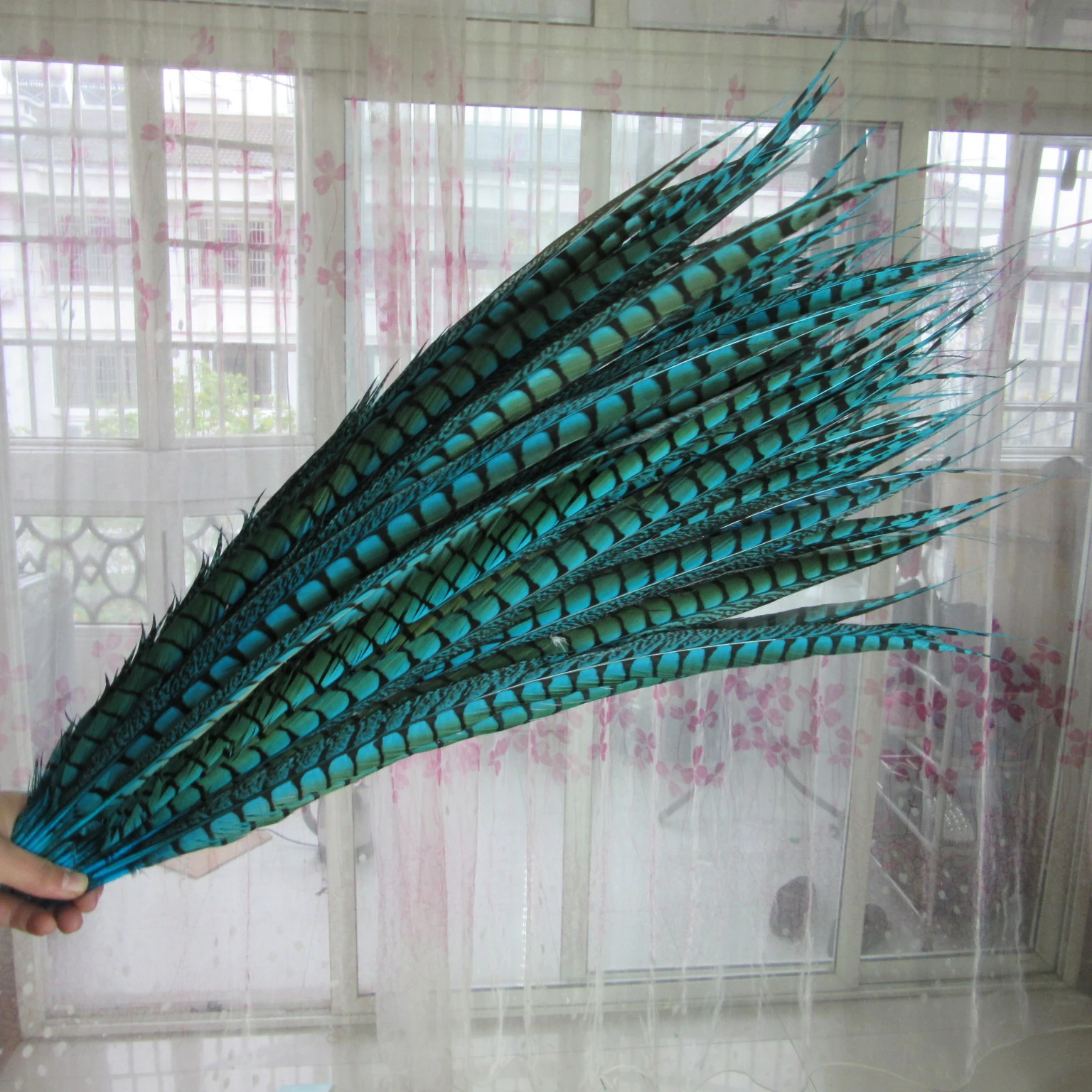 The New Listing 50pcs/lot Natural Lake Blue Pheasant Tail Feathers For Crafts 65-75CM Wedding Decoration DIY Plume
The New Listing 50pcs/lot Natural Lake Blue Pheasant Tail Feathers For Crafts 65-75CM Wedding Decoration DIY Plume