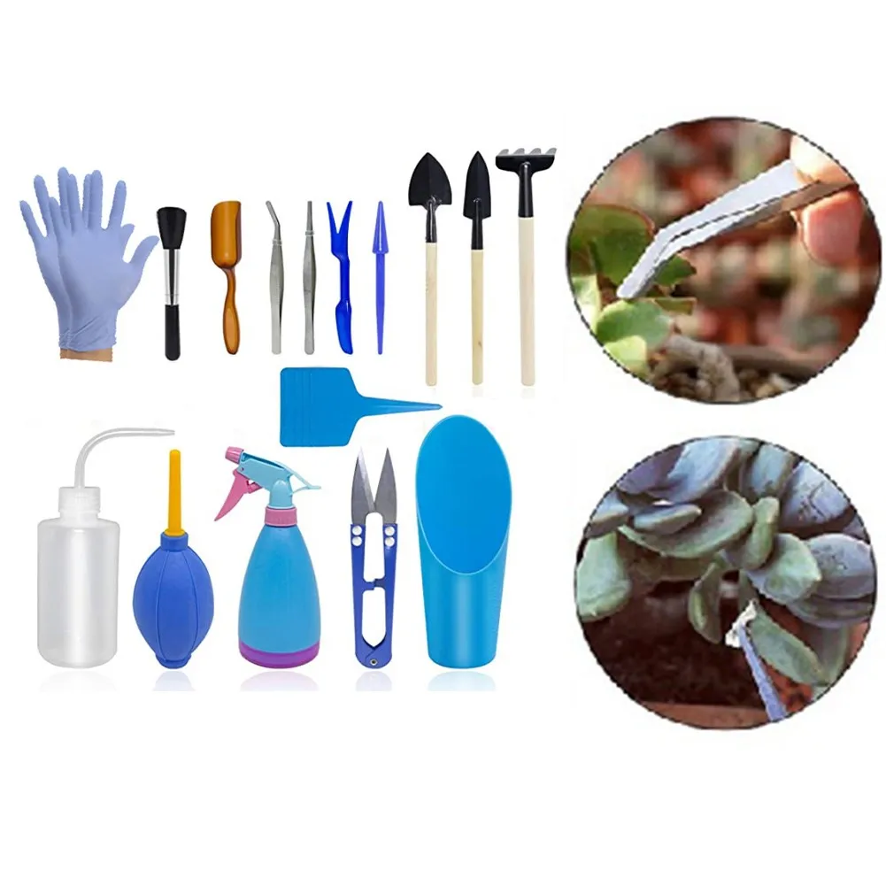21pcs Succulent Transplanting Mini Garden Hand Tool Set For Gardening Plant Pail Shovel Cleaning Brush
21pcs Succulent Transplanting Mini Garden Hand Tool Set For Gardening Plant Pail Shovel Cleaning Brush