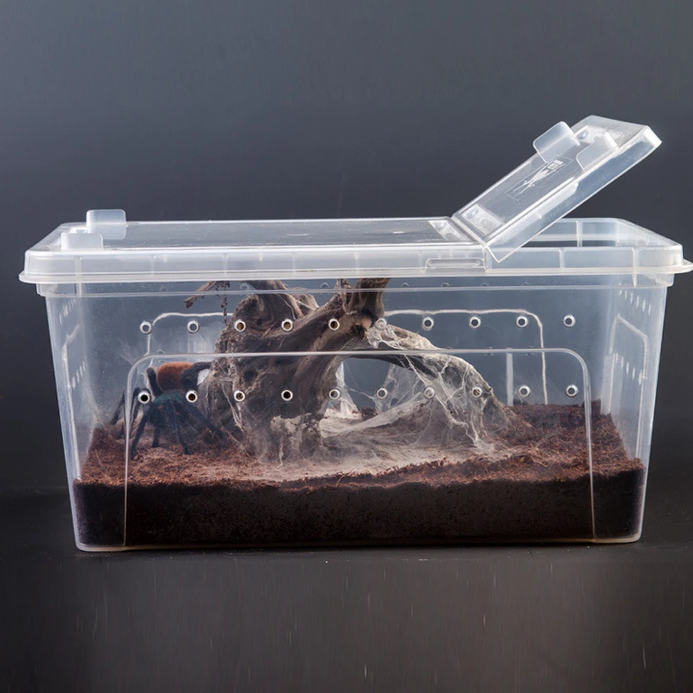 Pet Reptile Feeding Box High Transparent Turtle Climbing Pet Box 2020 Hot Climbing Pet Box
Pet Reptile Feeding Box High Transparent Turtle Climbing Pet Box 2020 Hot Climbing Pet Box