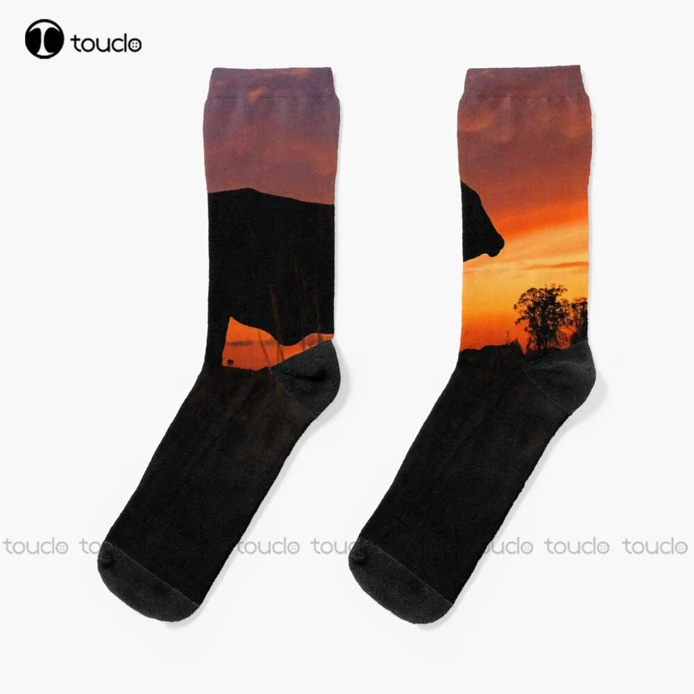 Droughtmaster Sky Socks Unisex Adult Teen Youth Socks Personalized Custom 360° Digital Print Hd High Quality Christmas Gift
Droughtmaster Sky Socks Unisex Adult Teen Youth Socks Personalized Custom 360° Digital Print Hd High Quality Christmas Gift