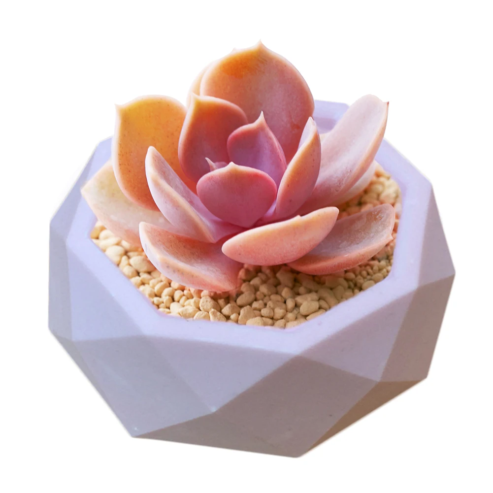Creative geometric polygonal concrete flower pot vase office decoration DIY clay cementsilica silicone mold Accessories Supplies
Creative geometric polygonal concrete flower pot vase office decoration DIY clay cementsilica silicone mold Accessories Supplies