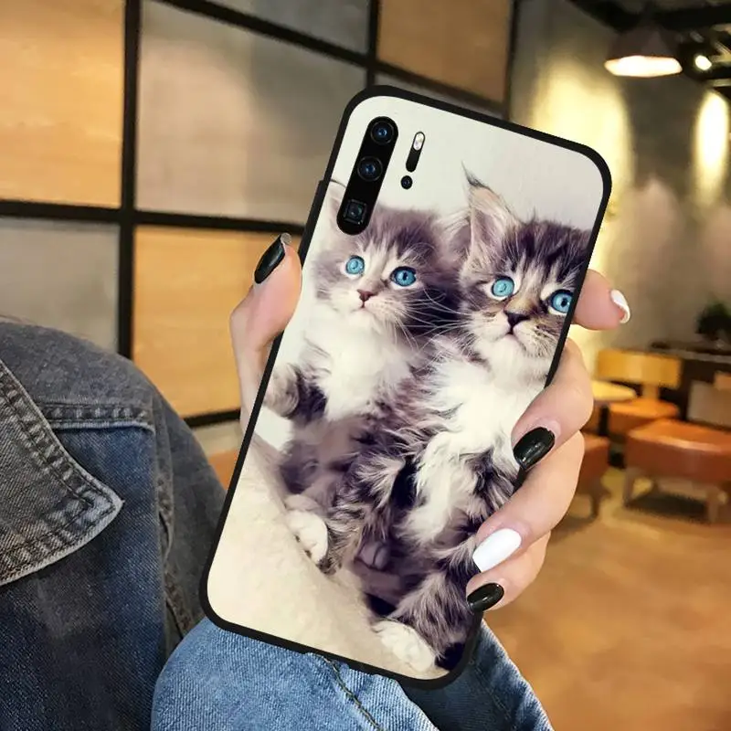 Cat cute cool animal funny fashion Phone Case For Huawei Mate 10 20 Lite Pro Nova 5t Honor 8a 8x 9x 20 10 10i
Cat cute cool animal funny fashion Phone Case For Huawei Mate 10 20 Lite Pro Nova 5t Honor 8a 8x 9x 20 10 10i