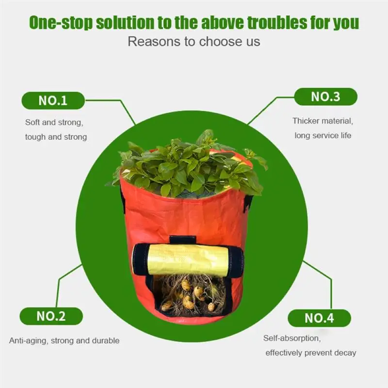 PE Grow Bag Vertical 1/3/5/7/10 Gallon Vegetable Plant Potato Growing Bag with Handles Access Flap Garden Growing Container
PE Grow Bag Vertical 1/3/5/7/10 Gallon Vegetable Plant Potato Growing Bag with Handles Access Flap Garden Growing Container