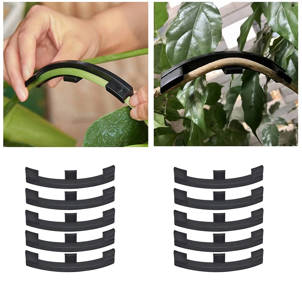 Plant Bender Clips Twig Clamps Branches Bender Plant Trainer Clips Plastic for Low Stress Training Black 10PCS Plant Bender
Plant Bender Clips Twig Clamps Branches Bender Plant Trainer Clips Plastic for Low Stress Training Black 10PCS Plant Bender