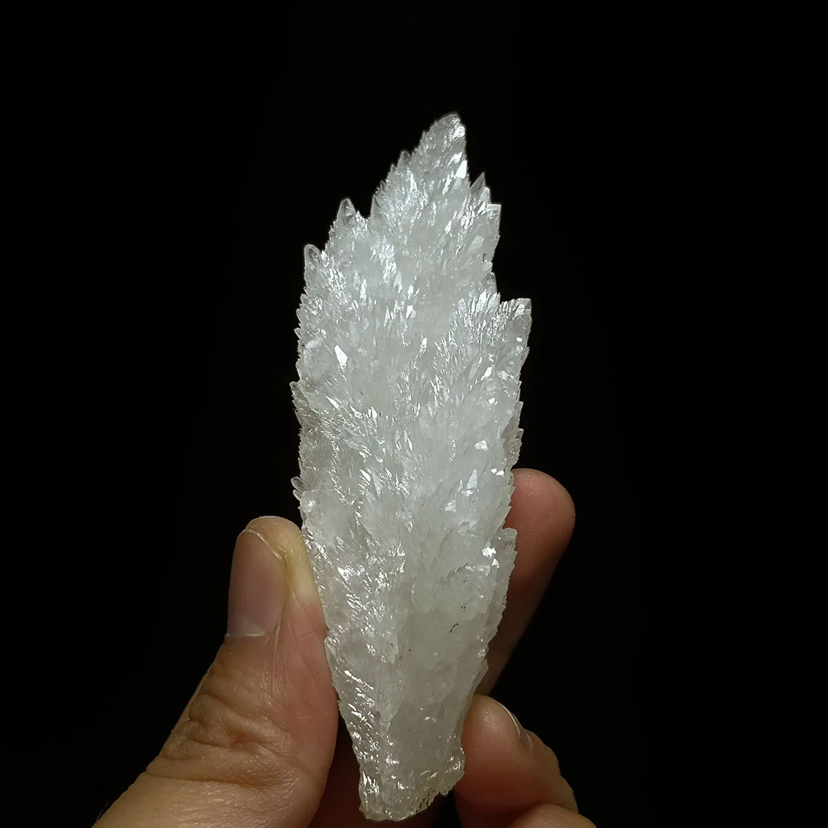56g B1-2 Rare Natural Feather-shaped Calcite Mineral Crystal Specimen Collection Decoration from Anhui Province, China
56g B1-2 Rare Natural Feather-shaped Calcite Mineral Crystal Specimen Collection Decoration from Anhui Province, China
