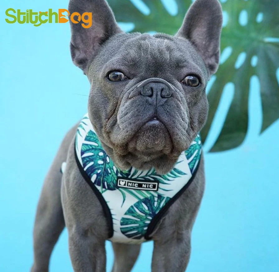 Middle And Small Size Dog harness collar Pets Ventilation Mesh Tow Rope Go Out Chest Straps bulldog
Middle And Small Size Dog harness collar Pets Ventilation Mesh Tow Rope Go Out Chest Straps bulldog