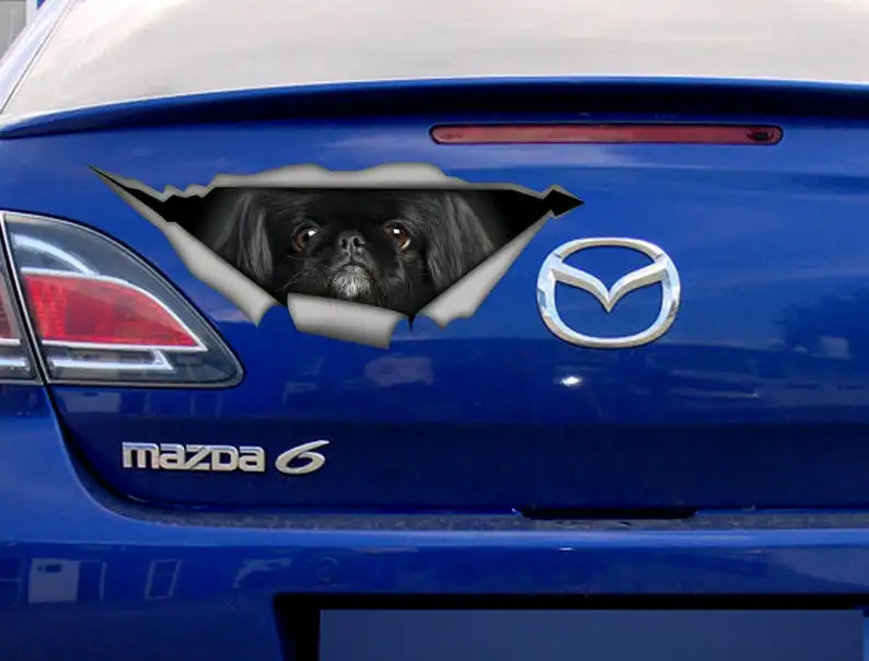 2021 Black Pekingese sticker, car decal, Pet sticker, Black pekingese car decal 
2021 Black Pekingese sticker, car decal, Pet sticker, Black pekingese car decal
