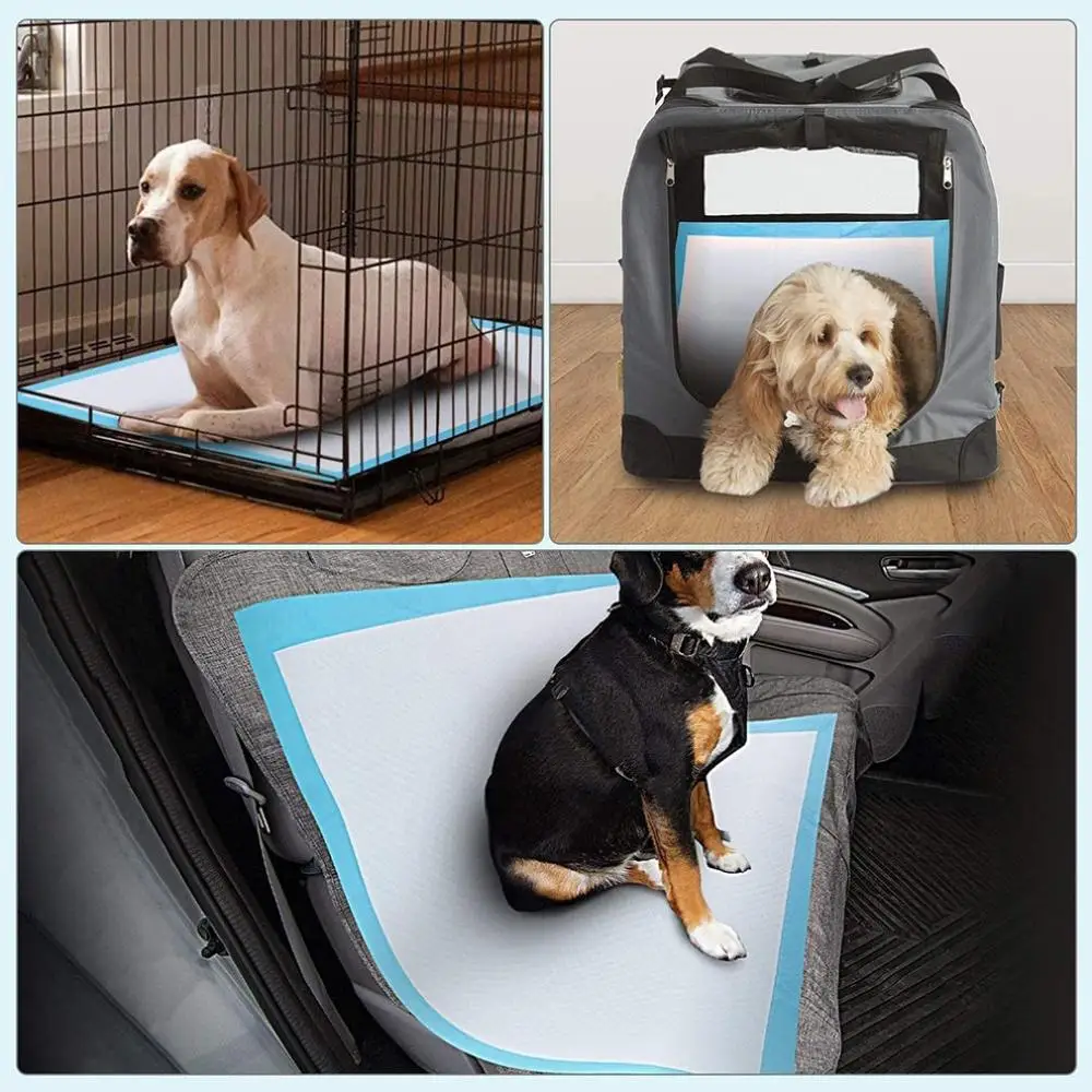 Pet Dog Diapers Disposable Heavy Absorbency Underpads Quick Dry Dog Training Pad Pet Urine Pad Dogs Cleaning Supplies Dropship
Pet Dog Diapers Disposable Heavy Absorbency Underpads Quick Dry Dog Training Pad Pet Urine Pad Dogs Cleaning Supplies Dropship