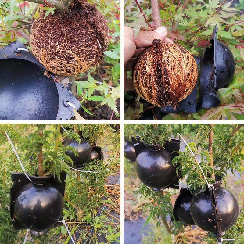5pcs New 8/12cm Plant Root Growing Box High Pressure Gardening Plant Root Ball Breeding Case Garden Grafting Rooting Plant Box
5pcs New 8/12cm Plant Root Growing Box High Pressure Gardening Plant Root Ball Breeding Case Garden Grafting Rooting Plant Box