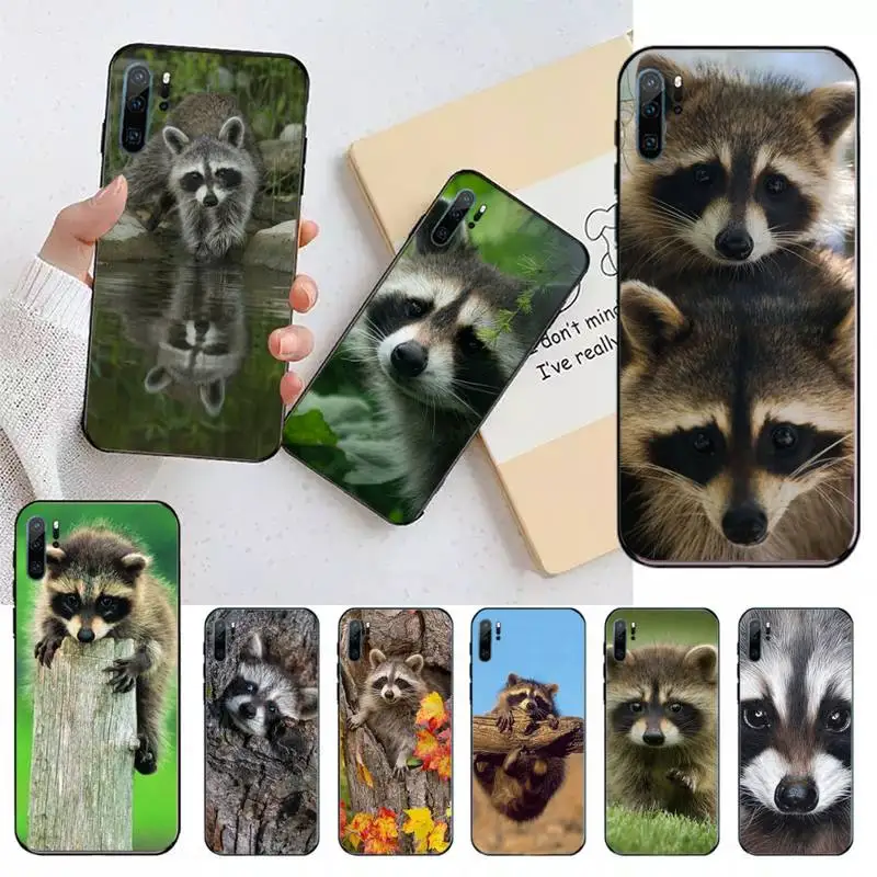 Raccoon Cute wild animals Phone Case For Huawei honor Mate 10 20 30 40 i 9 8 pro x Lite P smart 2019 nova 5t
Raccoon Cute wild animals Phone Case For Huawei honor Mate 10 20 30 40 i 9 8 pro x Lite P smart 2019 nova 5t