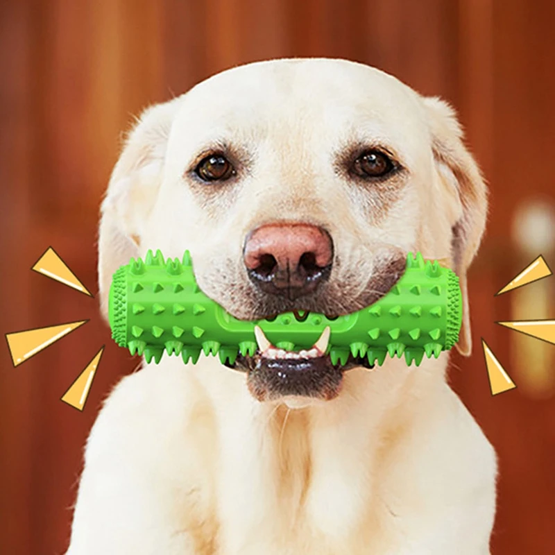 Dog Chew Toys Toothbrush Teeth Cleaning Toy Dog Teeth Clean Toy Rubber Dog Pet Toothbrushes Brushing Stick Toys
Dog Chew Toys Toothbrush Teeth Cleaning Toy Dog Teeth Clean Toy Rubber Dog Pet Toothbrushes Brushing Stick Toys