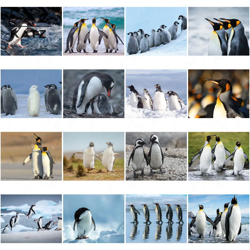 Penguins Stand In Line and Walk Hand In Hand Diamond Painting Art Handmade Diy Home Decoration Modern Animal Pictures Painting
Penguins Stand In Line and Walk Hand In Hand Diamond Painting Art Handmade Diy Home Decoration Modern Animal Pictures Painting