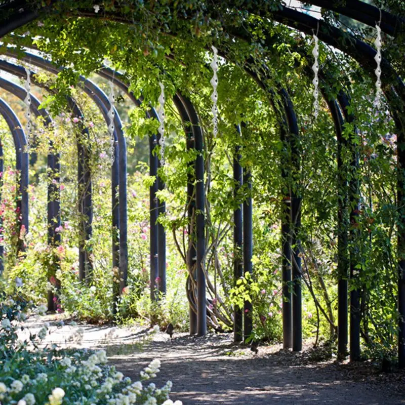 12 Pcs Bird Repellent Rods, Reflective Bird Deterrent Rods,Bird Deterrent Rods
12 Pcs Bird Repellent Rods, Reflective Bird Deterrent Rods,Bird Deterrent Rods