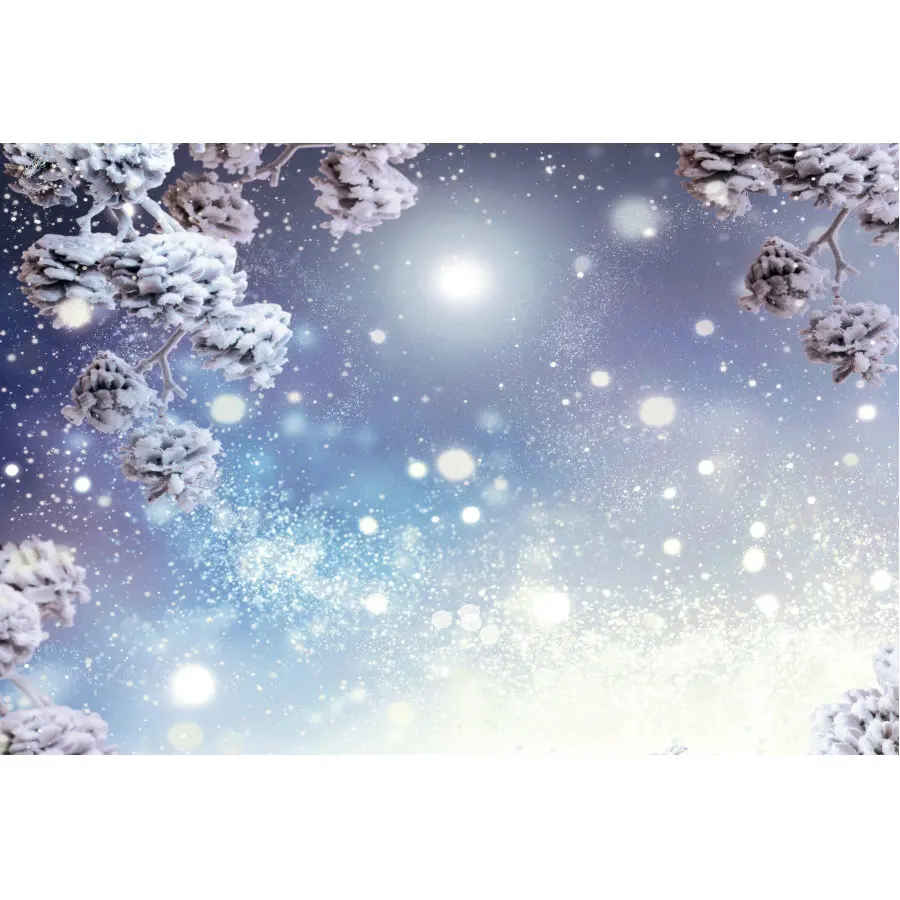 Winter Theme Decor Backdrop Snowflake Bokeh Background Newborns Photography Xmas Family Party Decoration Photo Booth Props
Winter Theme Decor Backdrop Snowflake Bokeh Background Newborns Photography Xmas Family Party Decoration Photo Booth Props