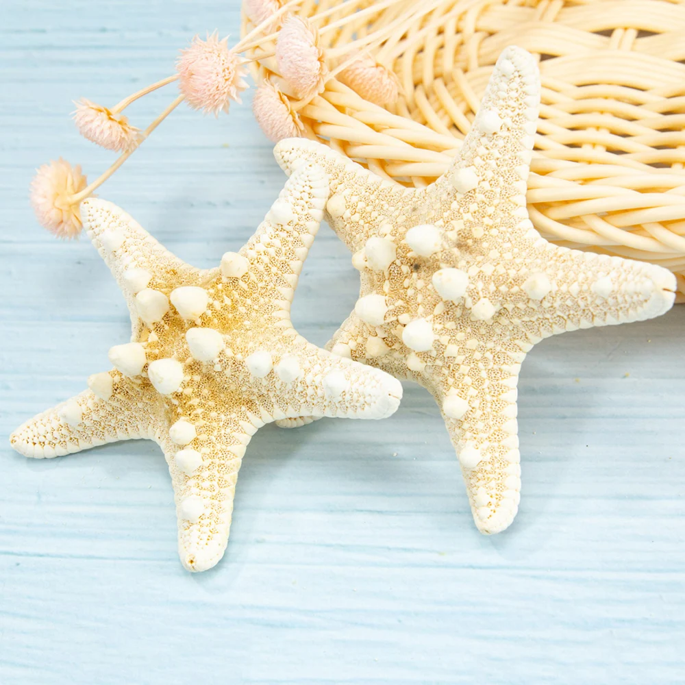 2pcs Mini Starfish Craft Decoration Natural Mediterranean Sea Stars DIY Beach Cottage Kids Bedroom Living Room Decor
2pcs Mini Starfish Craft Decoration Natural Mediterranean Sea Stars DIY Beach Cottage Kids Bedroom Living Room Decor