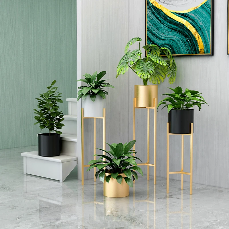 Iron Flower Stand Home Living Room Creative Green Dill Nordic Flower Shelf Floor Ins Modern Simple Golden Flower Pot Stand
Iron Flower Stand Home Living Room Creative Green Dill Nordic Flower Shelf Floor Ins Modern Simple Golden Flower Pot Stand