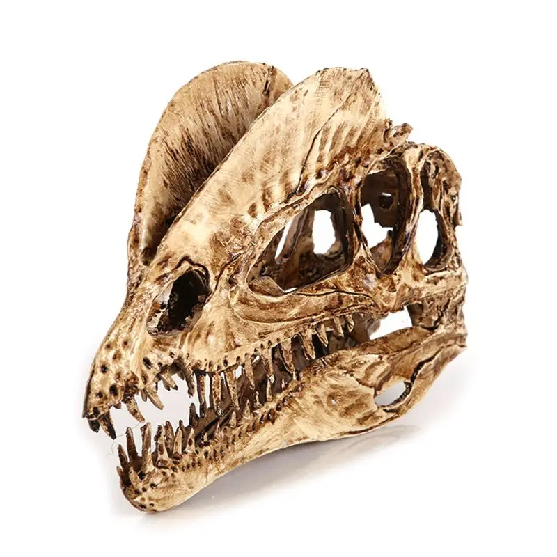 Dilophosaurus Dinosaur Skull Resin Crafts Fossil Skeleton Teaching Model Halloween Home Office Decoration
Dilophosaurus Dinosaur Skull Resin Crafts Fossil Skeleton Teaching Model Halloween Home Office Decoration