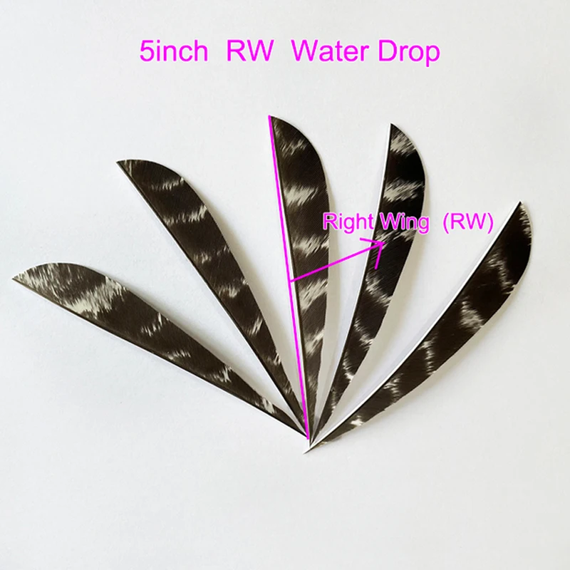 50Pcs Archery 4" Feather Arrow Real Fletcher Left /Right Wing For DIY Carbon Wooden Traditional Arrow Hunting Shooting Accessory
50Pcs Archery 4" Feather Arrow Real Fletcher Left /Right Wing For DIY Carbon Wooden Traditional Arrow Hunting Shooting Accessory