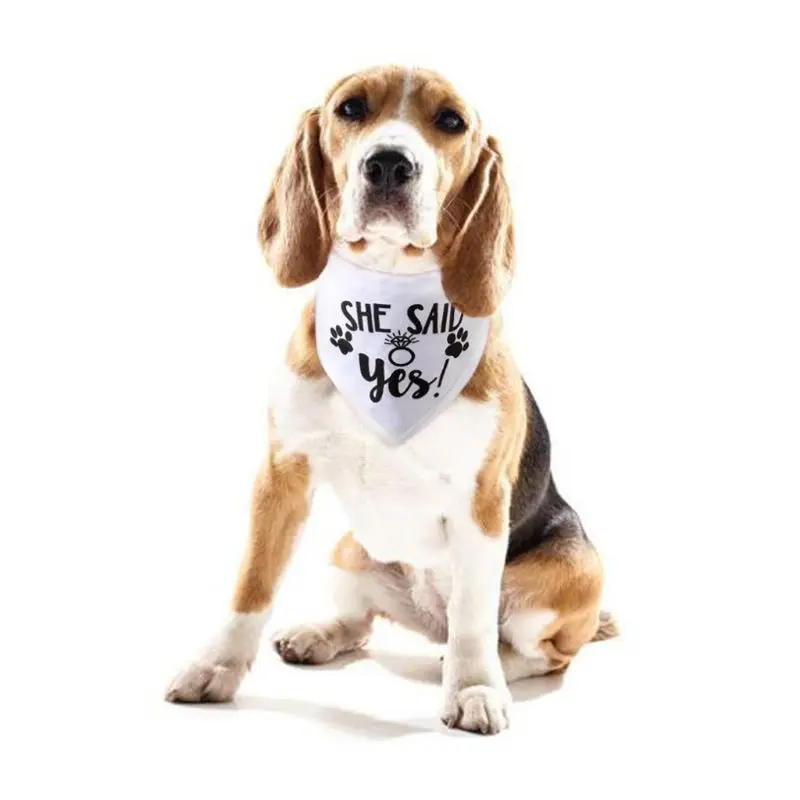 Dog Wedding Bandana My Humans are Getting Married She Said Yes Pet Triangle Bib Scarf Neckerchief Engagement Announcemet K3NA
Dog Wedding Bandana My Humans are Getting Married She Said Yes Pet Triangle Bib Scarf Neckerchief Engagement Announcemet K3NA