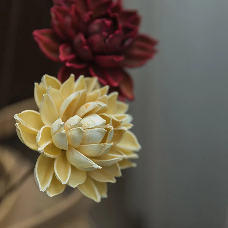 Real Natural Dried Pressed Lotus Flower Decorative Handmade Water Lily Flower Branch Decoration For Home Livin Room Holiday Gift
Real Natural Dried Pressed Lotus Flower Decorative Handmade Water Lily Flower Branch Decoration For Home Livin Room Holiday Gift