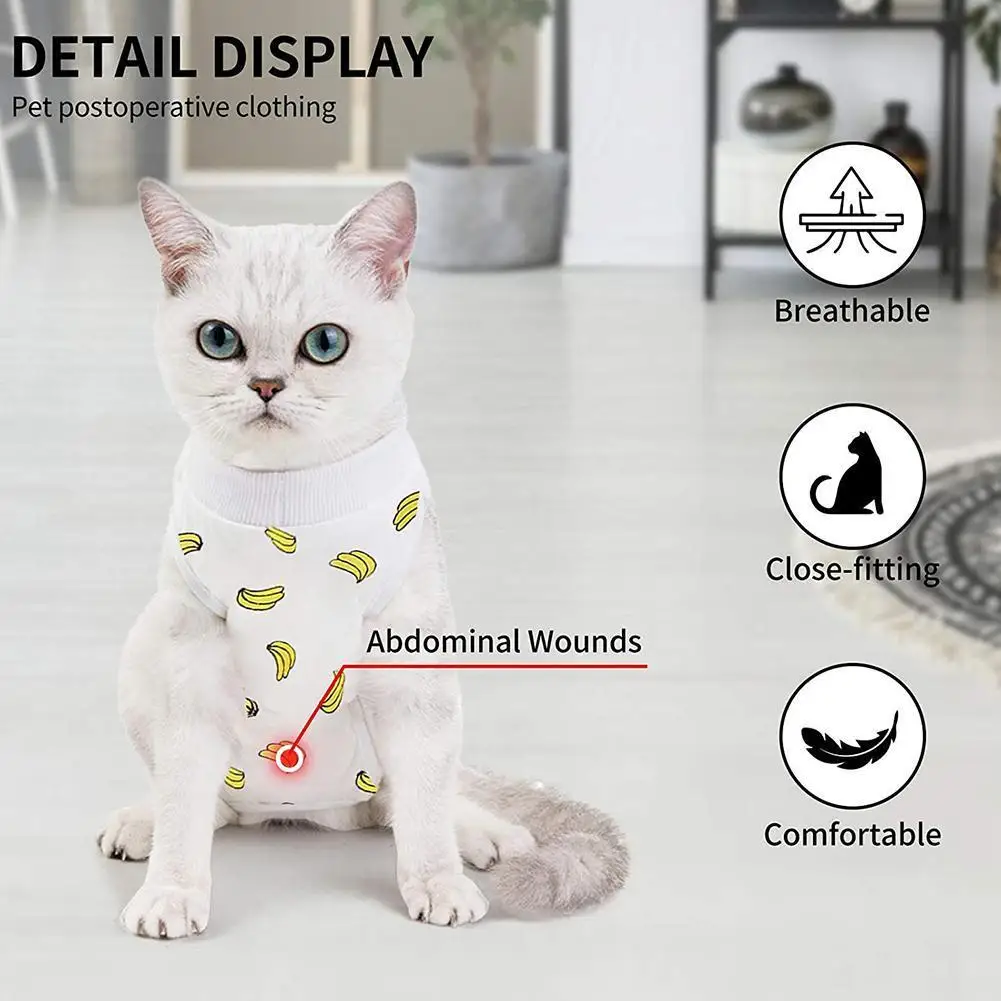 S/M/L Pet Cat Recovery Suit Surgery Clothing Pet Wound Suit Suit Licking Anti Wound Recovery Anti-mite Sterilization Pet L1X8
S/M/L Pet Cat Recovery Suit Surgery Clothing Pet Wound Suit Suit Licking Anti Wound Recovery Anti-mite Sterilization Pet L1X8