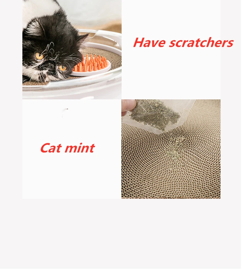 Multifunction Cat Scratcher Bed Toy Tower Tracks Disc Cat Tracks Toys Training Intelligence Amusement Plate Cat Ball Toys
Multifunction Cat Scratcher Bed Toy Tower Tracks Disc Cat Tracks Toys Training Intelligence Amusement Plate Cat Ball Toys