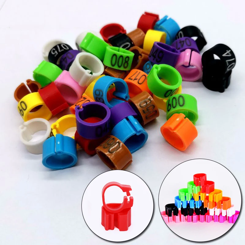 8MM Plastic Number Identification Ring, Pigeon Foot Ring, Bird Band Word Opening Foot Ring, Number 001-100, Pet Supplies
8MM Plastic Number Identification Ring, Pigeon Foot Ring, Bird Band Word Opening Foot Ring, Number 001-100, Pet Supplies