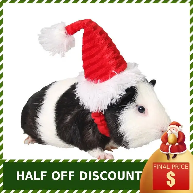 small pet supplies wholesale hedgehog mat pigpigman Christmas red flannel cap bind in Holland
small pet supplies wholesale hedgehog mat pigpigman Christmas red flannel cap bind in Holland