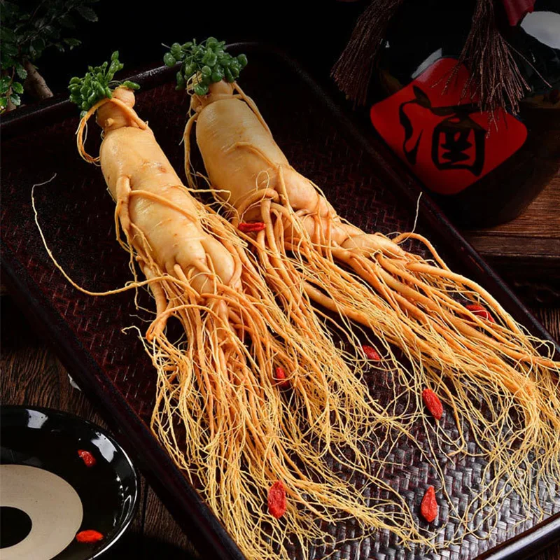 35g/150g Hot Sale Insam Changbai Mountain Ginseng Root Chinese Herb Panax Ginseng Health Care Organic Tea
35g/150g Hot Sale Insam Changbai Mountain Ginseng Root Chinese Herb Panax Ginseng Health Care Organic Tea