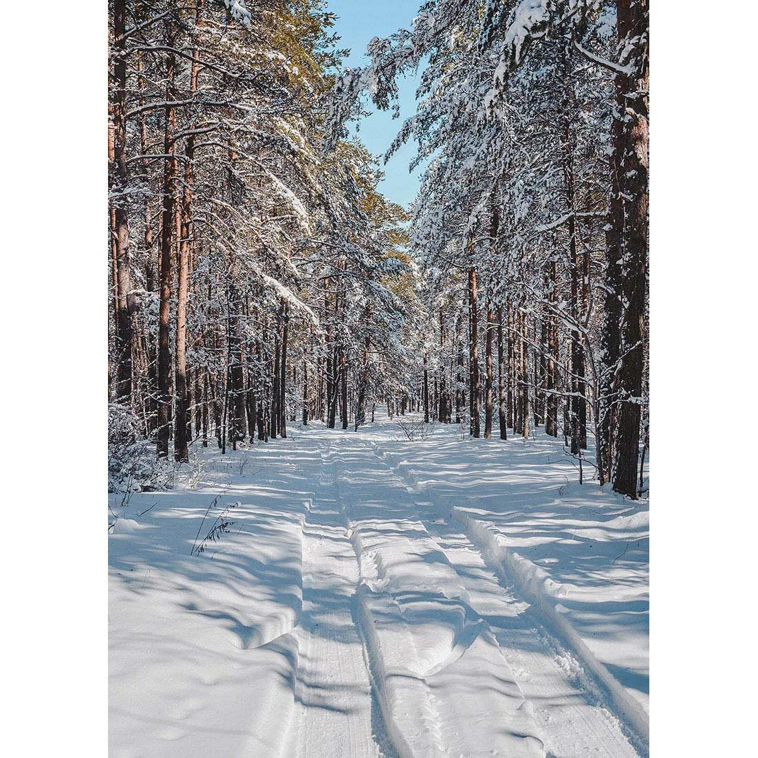 Photo Backgrounds Winter Snowy Forest Tree Computer Printed Backdrops for Baby Children Portrait Photoshoot Photography Props
Photo Backgrounds Winter Snowy Forest Tree Computer Printed Backdrops for Baby Children Portrait Photoshoot Photography Props