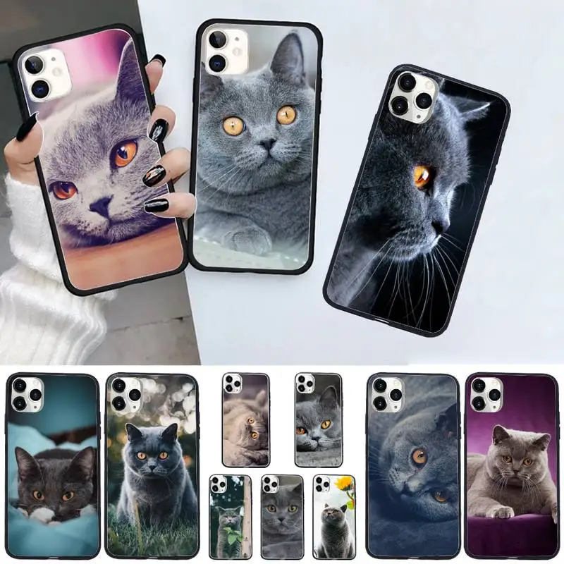 Webbedepp British Shorthair cat Phone Case For iphone 12 11 13 7 8 6 s plus x xs xr pro max mini shell
Webbedepp British Shorthair cat Phone Case For iphone 12 11 13 7 8 6 s plus x xs xr pro max mini shell