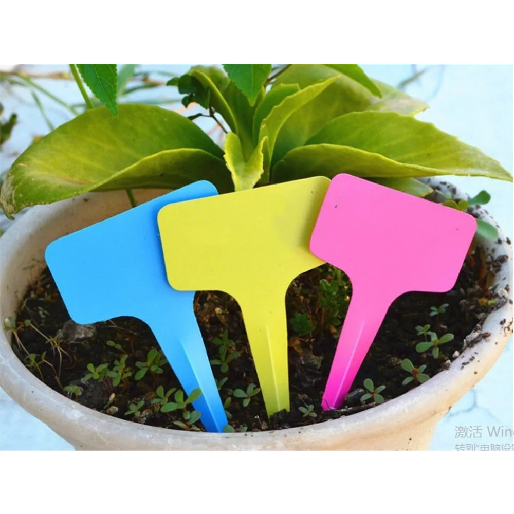 100pcs 6x10cm T-type Nursery Garden Plant Tag Flower Labels Plant Seed Labeled Pot Marker For Plants Diy Garden Decoration Tools
100pcs 6x10cm T-type Nursery Garden Plant Tag Flower Labels Plant Seed Labeled Pot Marker For Plants Diy Garden Decoration Tools