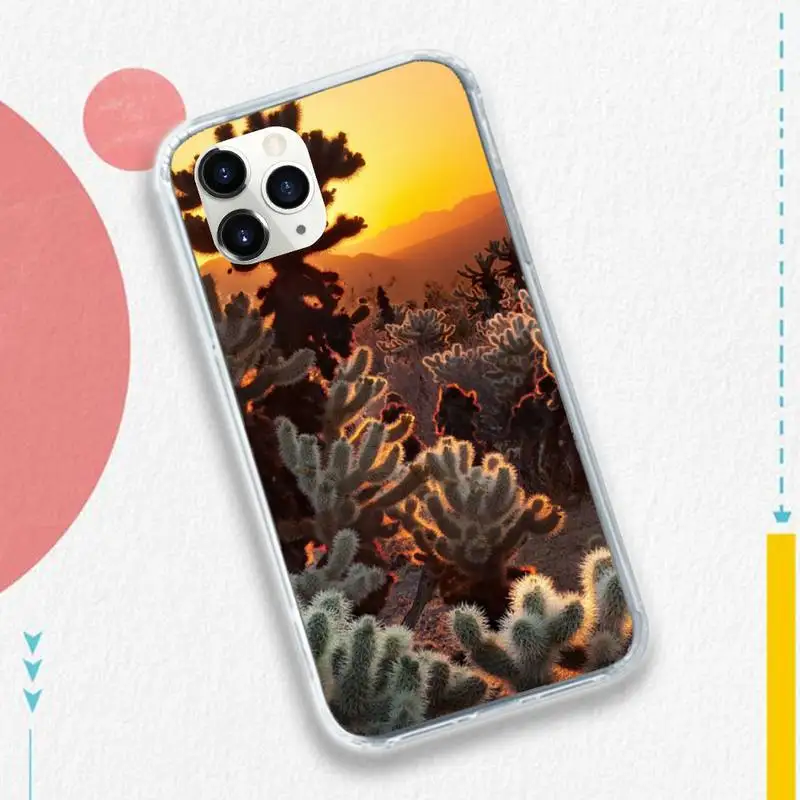 Plants in the desert cactus Phone Case for iPhone 11 12 pro XS MAX 8 7 6 6S Plus X 5S SE 2020 XR
Plants in the desert cactus Phone Case for iPhone 11 12 pro XS MAX 8 7 6 6S Plus X 5S SE 2020 XR