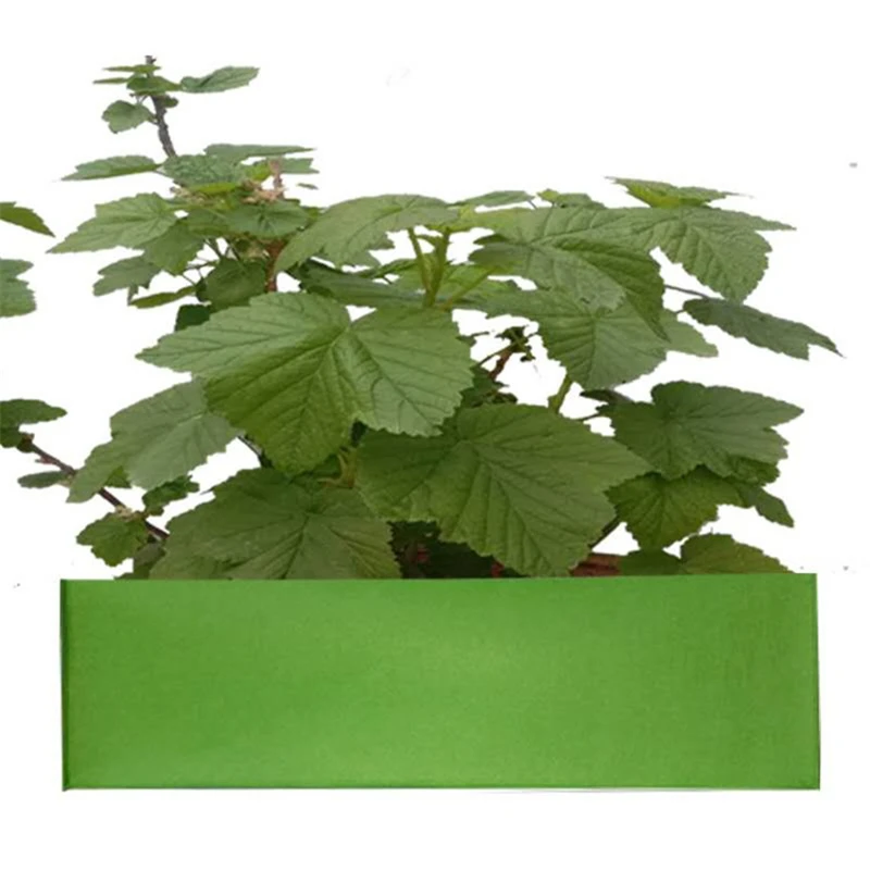 2Pcs Non-woven Fabrics Planting Bag Rectangle Vegetables Seedling Flower Pot for Home Garden Accessories
2Pcs Non-woven Fabrics Planting Bag Rectangle Vegetables Seedling Flower Pot for Home Garden Accessories