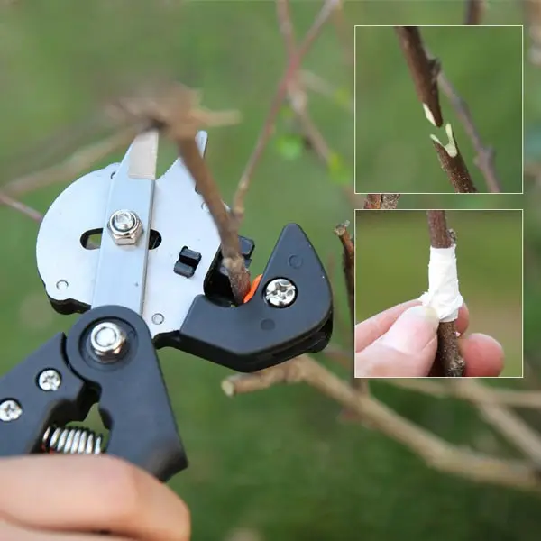 Professional Garden Grafting Pruning Pruner Cutting Pruning Shears Tools Kit with Grafting Tape for Fruit Tree
Professional Garden Grafting Pruning Pruner Cutting Pruning Shears Tools Kit with Grafting Tape for Fruit Tree