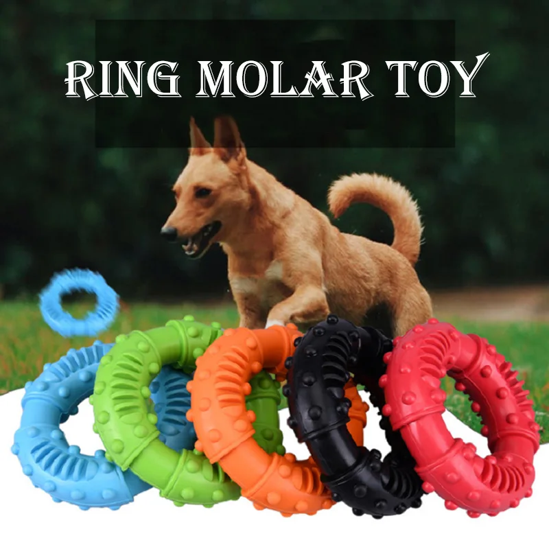 Pet ChewToy for Small Dogs Rubber Teething Toy Pet Training Ring Puller Resistant Bite Toys Pet Supplies
Pet ChewToy for Small Dogs Rubber Teething Toy Pet Training Ring Puller Resistant Bite Toys Pet Supplies